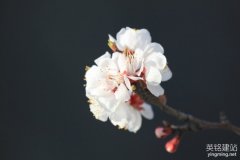 望城網(wǎng)站設計